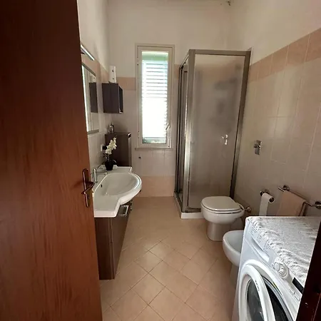 Ammare Marsala