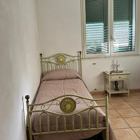 Ammare Marsala